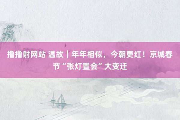 撸撸射网站 温故｜年年相似，今朝更红！京城春节“张灯置会”大变迁
