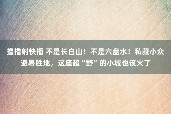撸撸射快播 不是长白山！不是六盘水！私藏小众避暑胜地，这座超“野”的小城也该火了