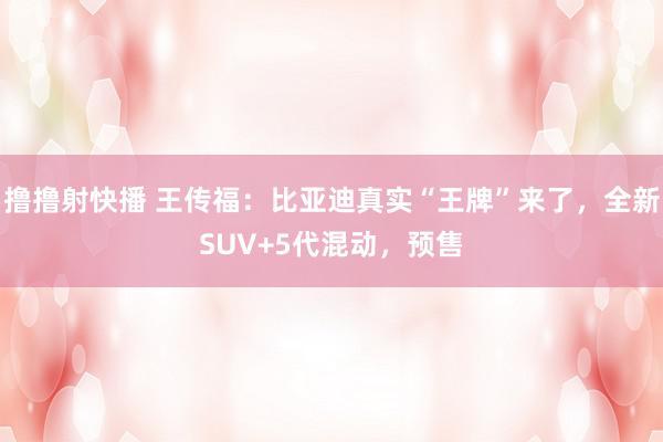 撸撸射快播 王传福：比亚迪真实“王牌”来了，全新SUV+5代混动，预售
