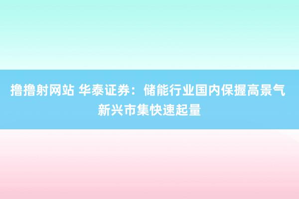 撸撸射网站 华泰证券：储能行业国内保握高景气 新兴市集快速起量