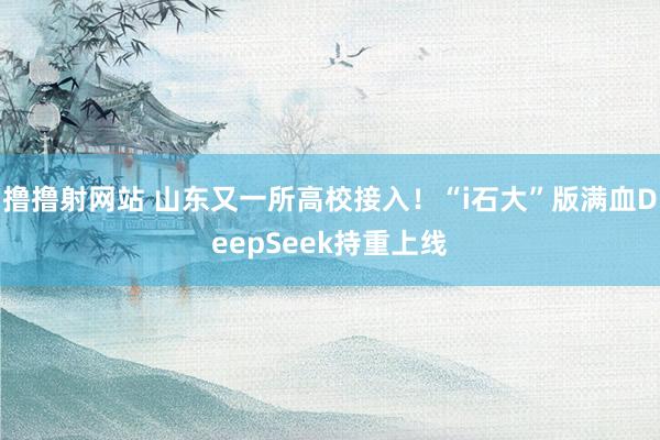 撸撸射网站 山东又一所高校接入！“i石大”版满血DeepSeek持重上线