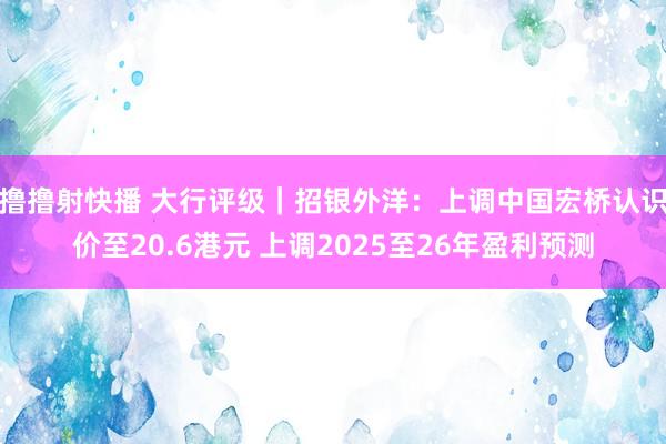 撸撸射快播 大行评级｜招银外洋：上调中国宏桥认识价至20.6港元 上调2025至26年盈利预测