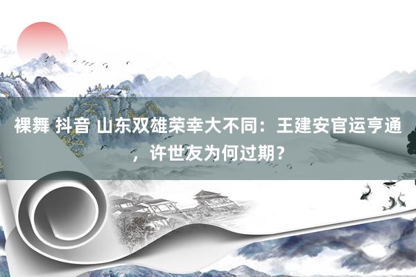 裸舞 抖音 山东双雄荣幸大不同：王建安官运亨通，许世友为何过期？