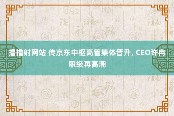 撸撸射网站 传京东中枢高管集体晋升, CEO许冉职级再高潮