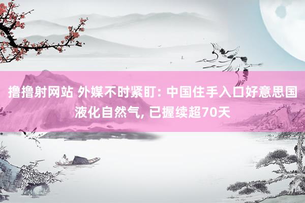 撸撸射网站 外媒不时紧盯: 中国住手入口好意思国液化自然气, 已握续超70天