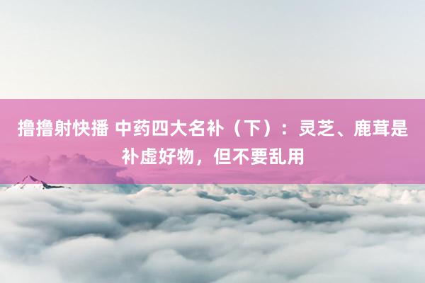 撸撸射快播 中药四大名补（下）：灵芝、鹿茸是补虚好物，但不要乱用