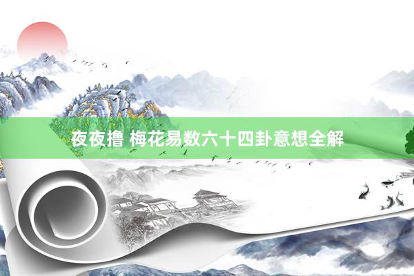 夜夜撸 梅花易数六十四卦意想全解