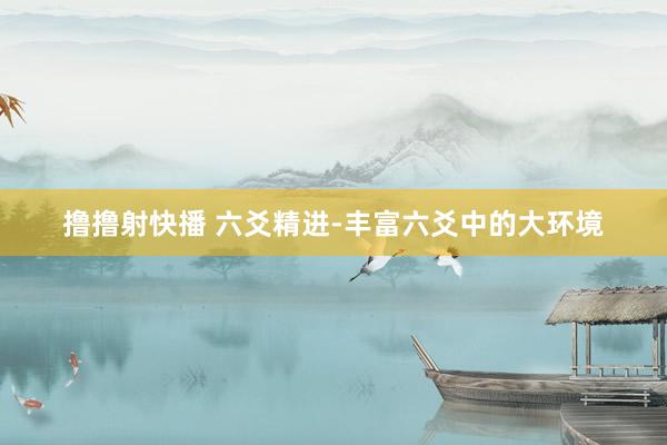 撸撸射快播 六爻精进-丰富六爻中的大环境